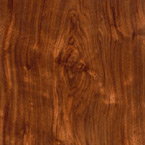 East Indian Laurel